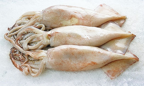 ���������r���V������������