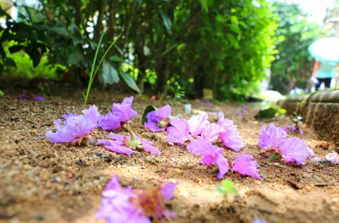 �����������V������������