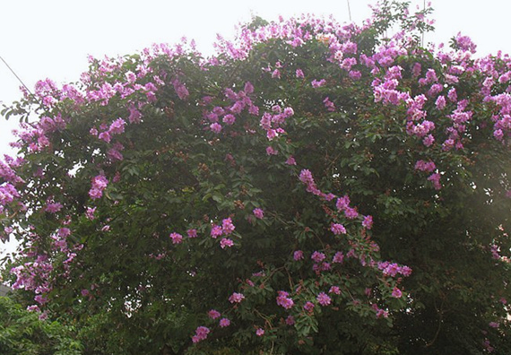 �����������V������������