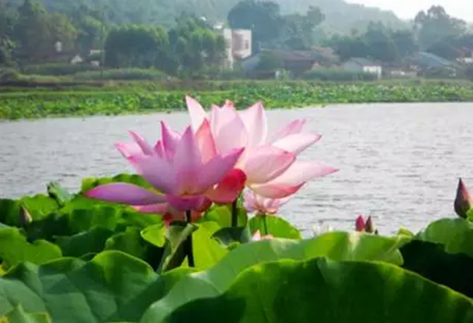 �����������V������������