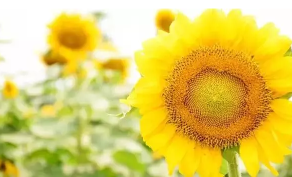 �����������V������������