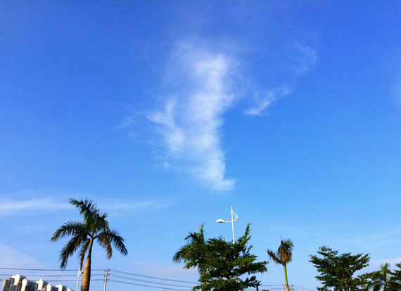 �����������V������������