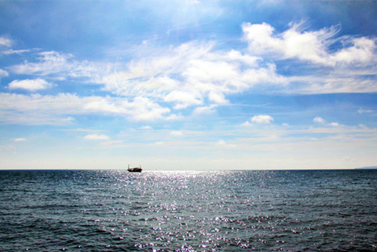 ���������������V������������