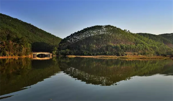 �����������V������������