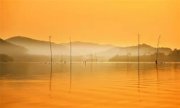 �����������V������������