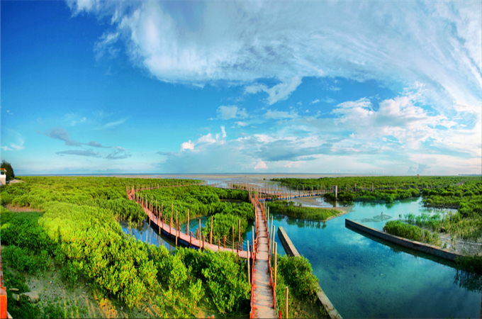 �������V������������