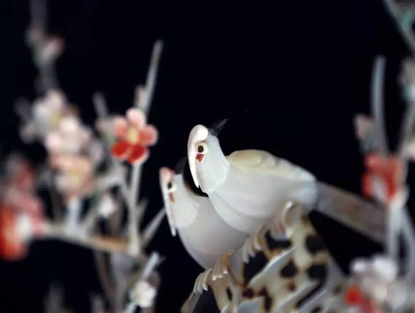 �����������V������������