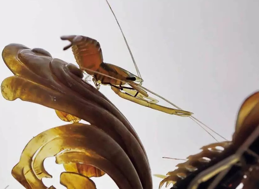 �������Σ��V������������