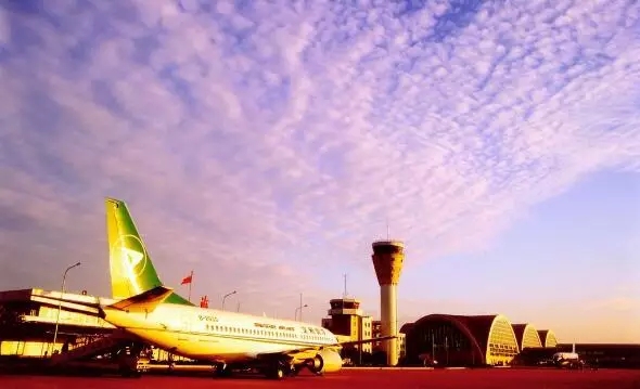 �������Σ��V������������