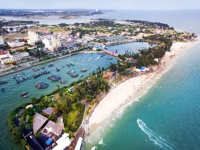 �����������������V������������