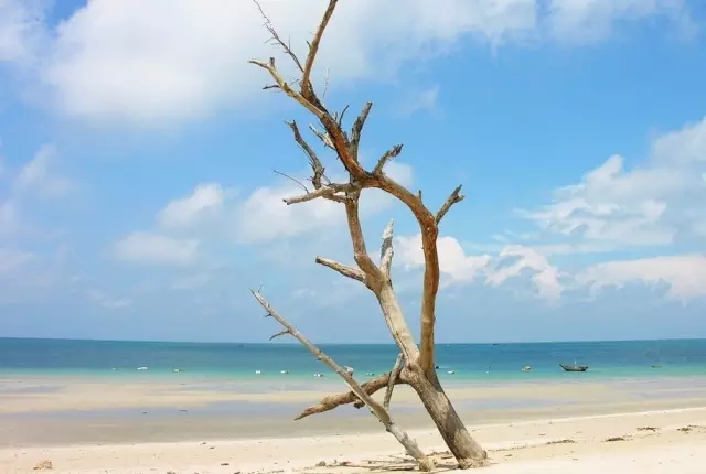 �������V������������