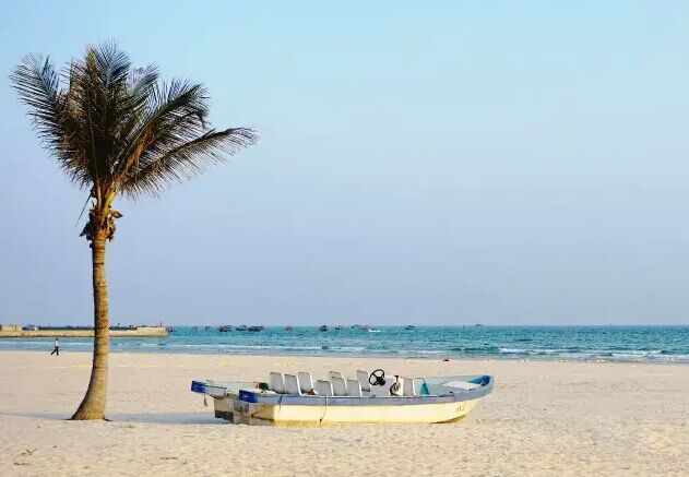 �������������ލu���V������������