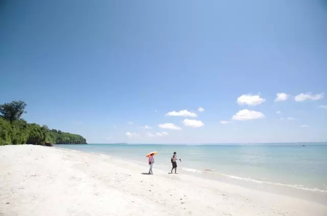 ���ލu�������V������������