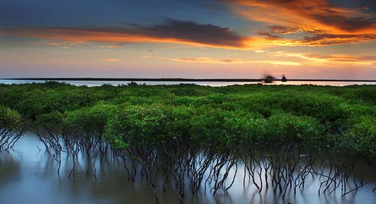 �����������V������������