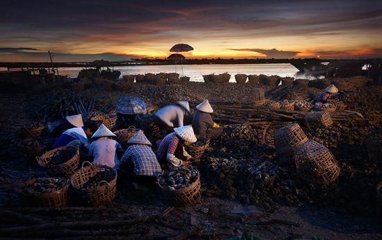 �����������V������������