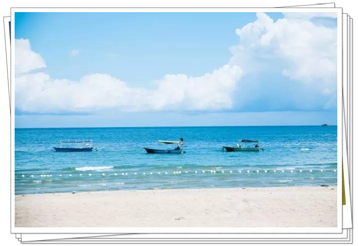 �������ލu���V������������