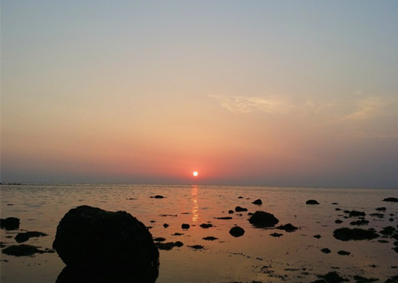 �����������V������������