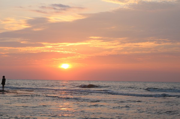 �����������V������������