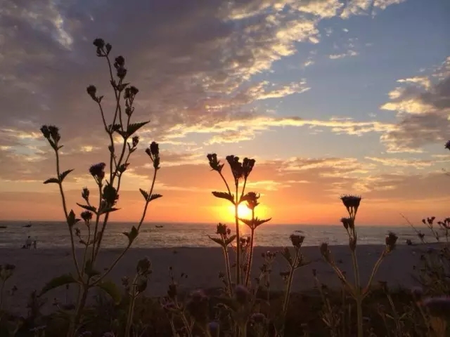 �����������V������������