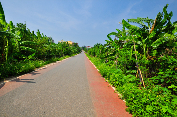 �������ލu���V������������