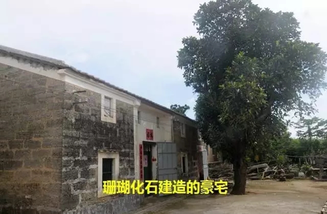 ���ލu��ɺ��ʯ���V������������