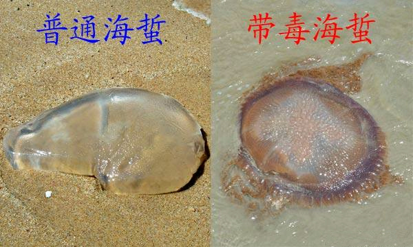 �����������V������������