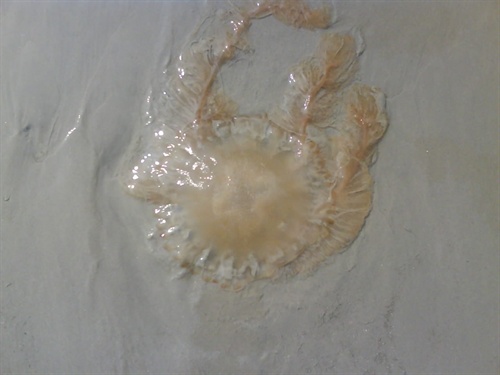 �����������V������������