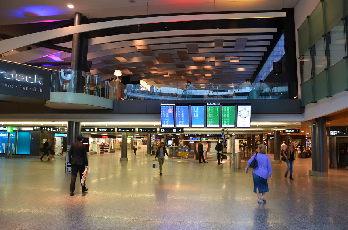 �w�C(j��)���������V������������