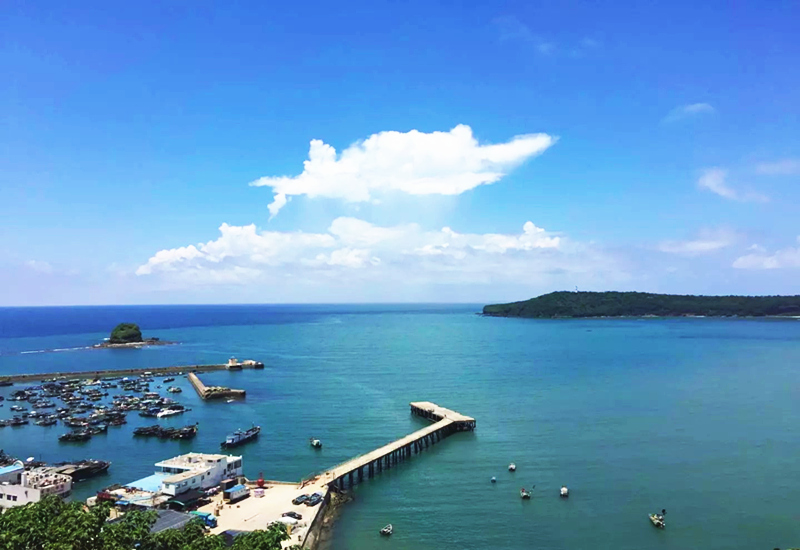 ���ލu�������V������������