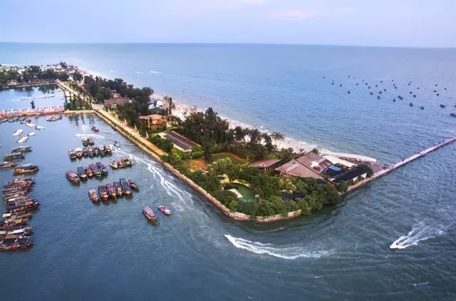 �������Σ��V������������