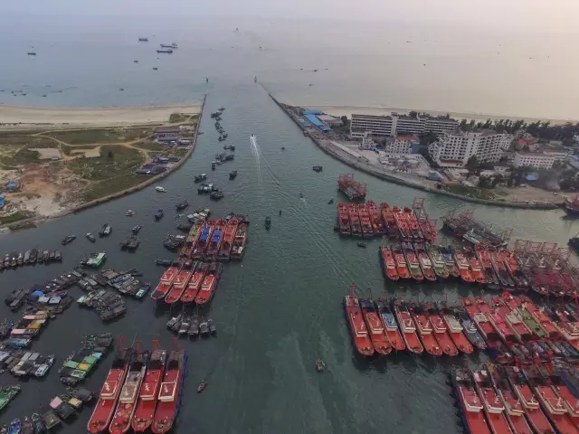 �����������V������������