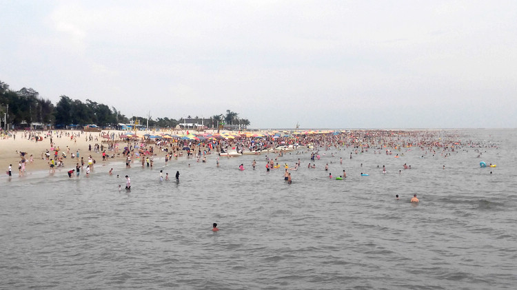 �������Σ��V������������