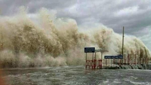 �����������V������������