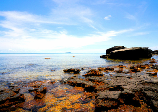 ���ލu�������V������������