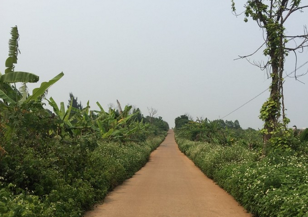 ���ލu�������V������������