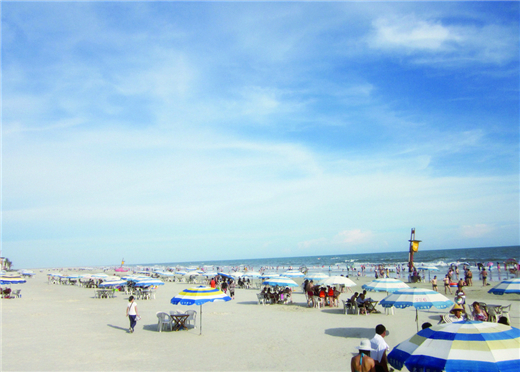 �������V������������