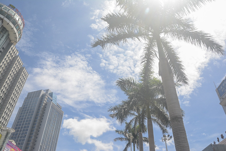 �������V������������