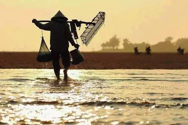 �������s�����V������������