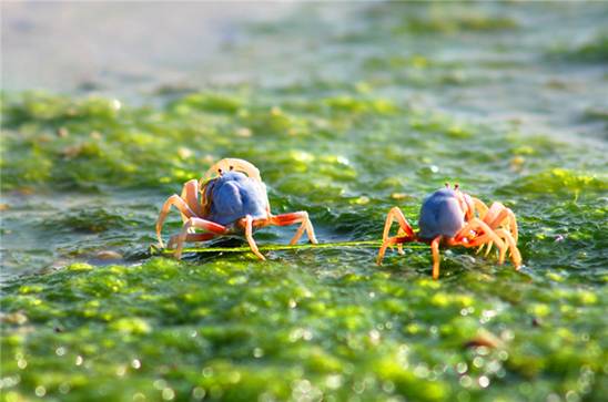 �������s�����V������������