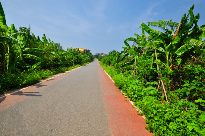 �������������ލu�������V������������