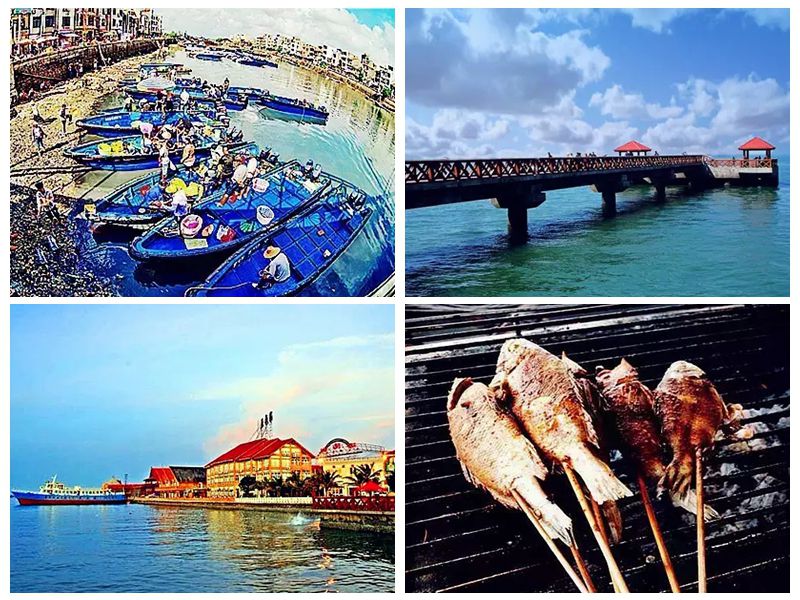 �����D�����V������������