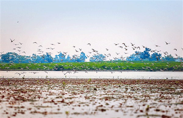 ���������Ǎu���V������������