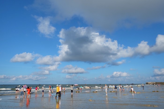 �����S�� �V������������