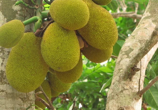 ���ލu�����}�ۣ��V������������