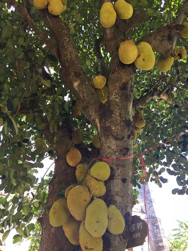 ���ލu�����}�����V������������