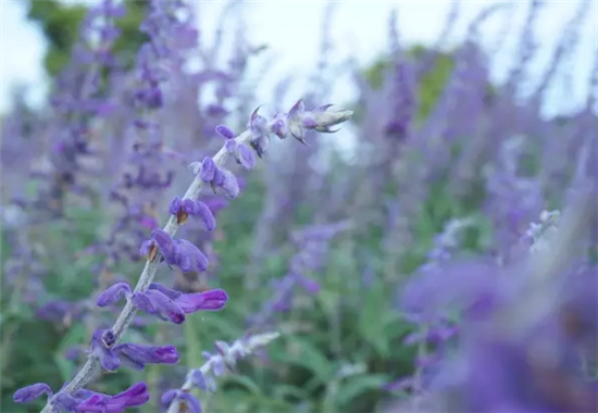 �������h(hu��n)�����V������������