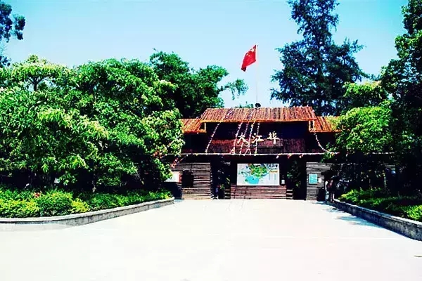 �������󽭲����V������������