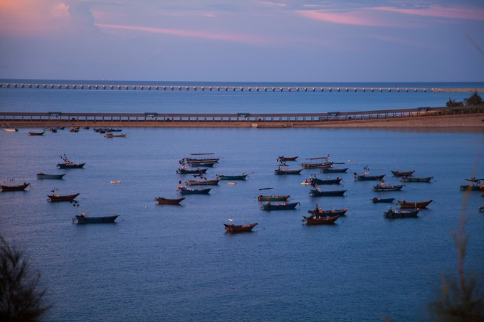 ���������ލu���V������������