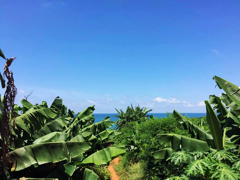 ���������ލu���V������������