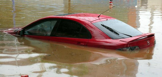 �������_�L(f��ng)���V������������